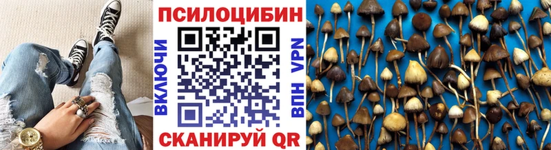 Галлюциногенные грибы Psilocybine cubensis  где продают наркотики  Первоуральск 